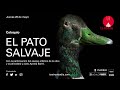 Coloquio "El pato salvaje", con la participación del equipo y la periodista cultural Ayanta Barilli.