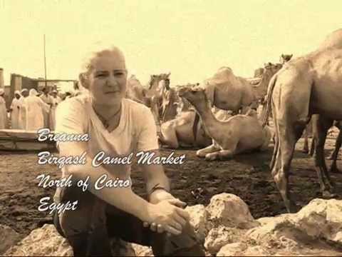 Watkins III: Birgash Camel Market