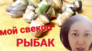 МОЙ СВЕКОР- РЫБАК. Едим моллюсков!