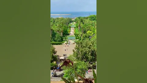 Jardin d'essai Du Hamma #argelia #algerie #algeria