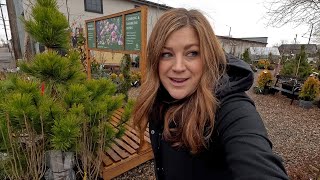 Rainy Day Plant Shopping & Arborvitae Replacement! 💦🌲💚 // Garden Answer