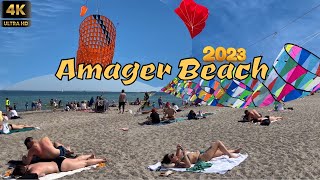 Beautiful Amager Beach | Copenhagen Denmark | May 2023 | 4k Beach Walk #kites