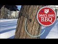 How to Make Maple Syrup - Tapping trees and collecting sap - Part 1