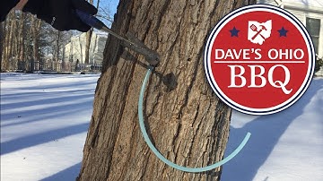 How to Make Maple Syrup - Tapping trees and collecting sap - Part 1