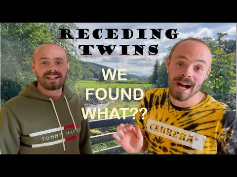 RECEDING TWINS THINK THEY'RE TOUR GUIDES