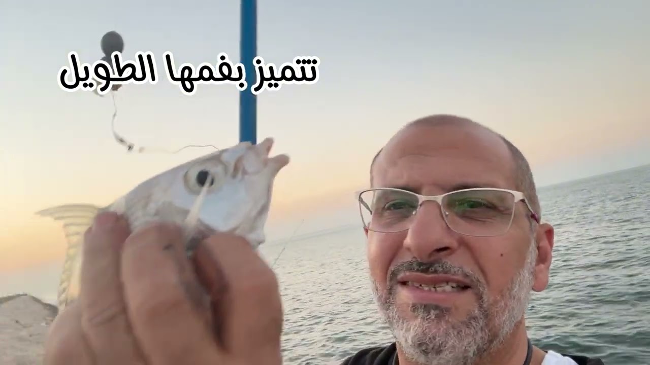 شاهد اسرار صيد سمك القاص او البطاطا مع طفلة خائفة 🥹 | كورنيش الدمام | غراس للصيد
