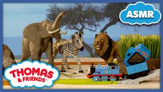 animal sights sounds thomas thomas friends sounds sodor