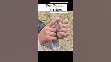 PUNCHING TECHNIQUES for Power Strikes #martialarts #kungfutraining #prayingmantiskungfu