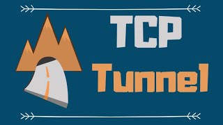 TCP Tunneling Applications Pros and Cons (Explained by Example)