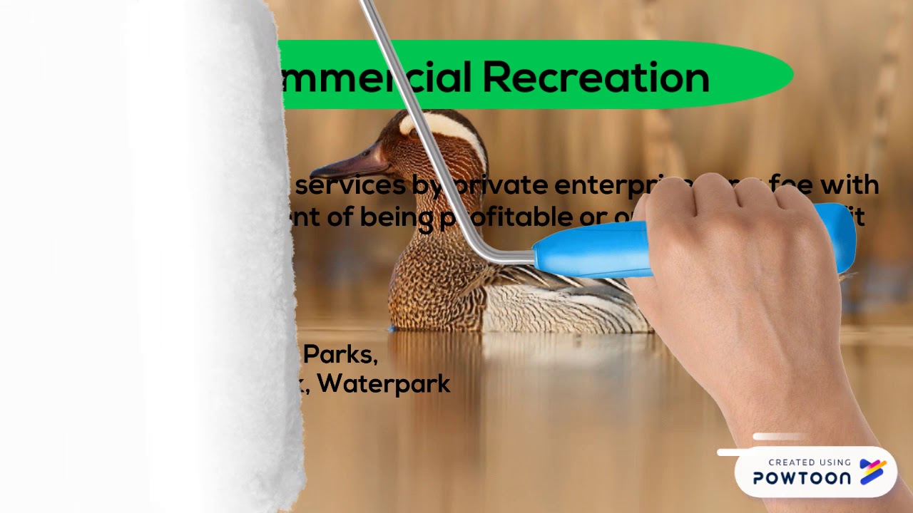 Types of Parks, Recreation and Leisure Service Organization - YouTube