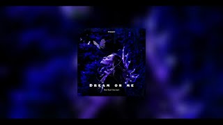 Serhat kanat - Dream On Me (slowed) Resimi