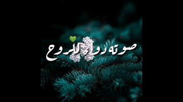 حالات واتس اب تلاوة رائعة |للقارئ سالم الرويلي