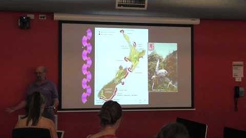 Reflections on Maori Ethnoastronomy (with Wayne Orchiston)