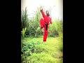 #everyone #martialarts #new chinese Kung fu &amp; boxing #open class#basic part2# describes likecomment