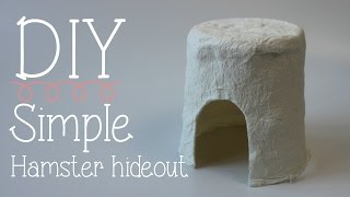 DIY simple Hamster hideout