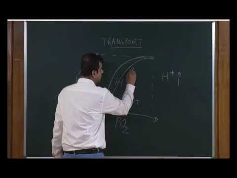 Bio class 11 unit 16 chapter 03  human physiology-breathing and exchange of gases   Lecture -3/4