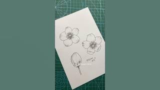 Cara gambar Bunga sakura untuk PEMULA 🌸 #art #drawing #drawingtutorial #howtodraw #dqueenarts