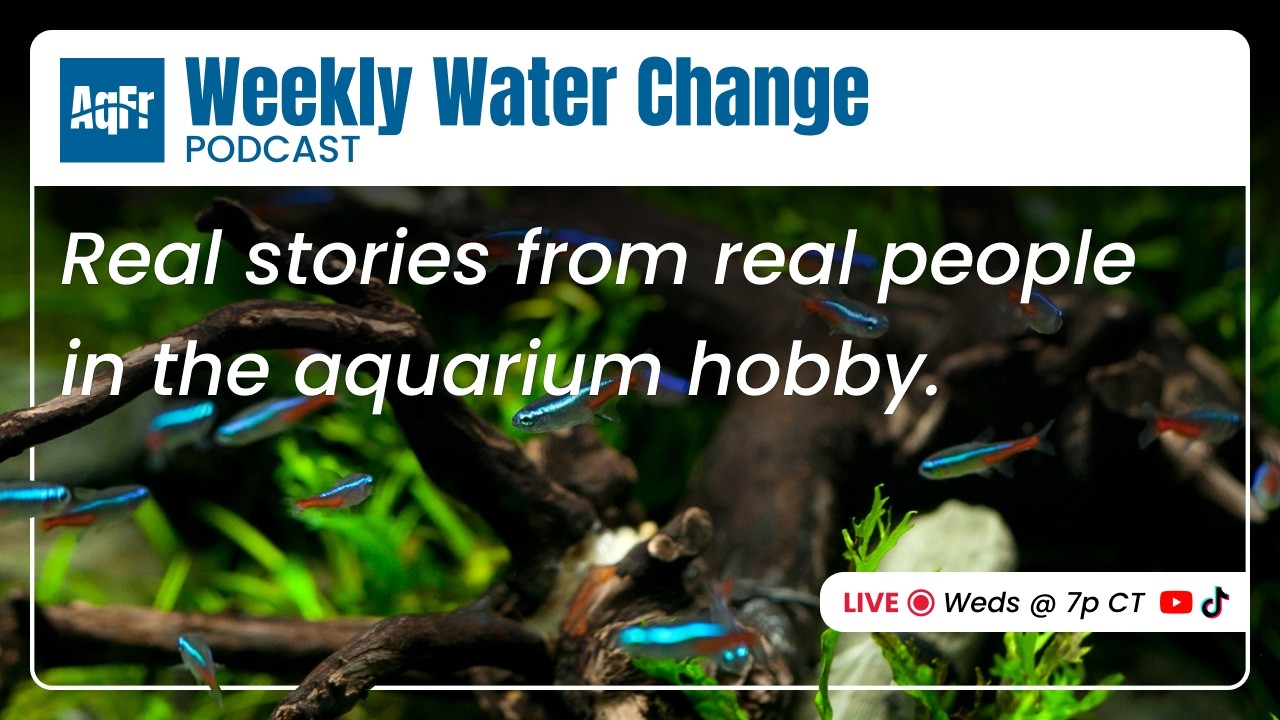 Weekly Water Change Podcast by AquaFindr