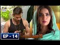 Visaal episode 14  27th june 2018  ary digital subtitle eng