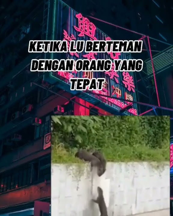 STORY WA SAHABAT|| STORY WA PERSAHABATAN|| TEMAN SEJATI|| TEMAN BAIK
