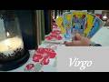 Virgo ❤ WILD ATTRACTION! The Crows Went Insane During This Reading Virgo HIDDEN TRUTH Now-May 23rd
