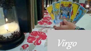 Virgo ❤ WILD ATTRACTION! The Crows Went Insane During This Reading Virgo HIDDEN TRUTH Now-May 23rd