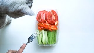 10 месяцев без мяса. Растительная пища. Отношение к питанию 10 месяцев без мяса. Растительная пища. Отношение к питанию