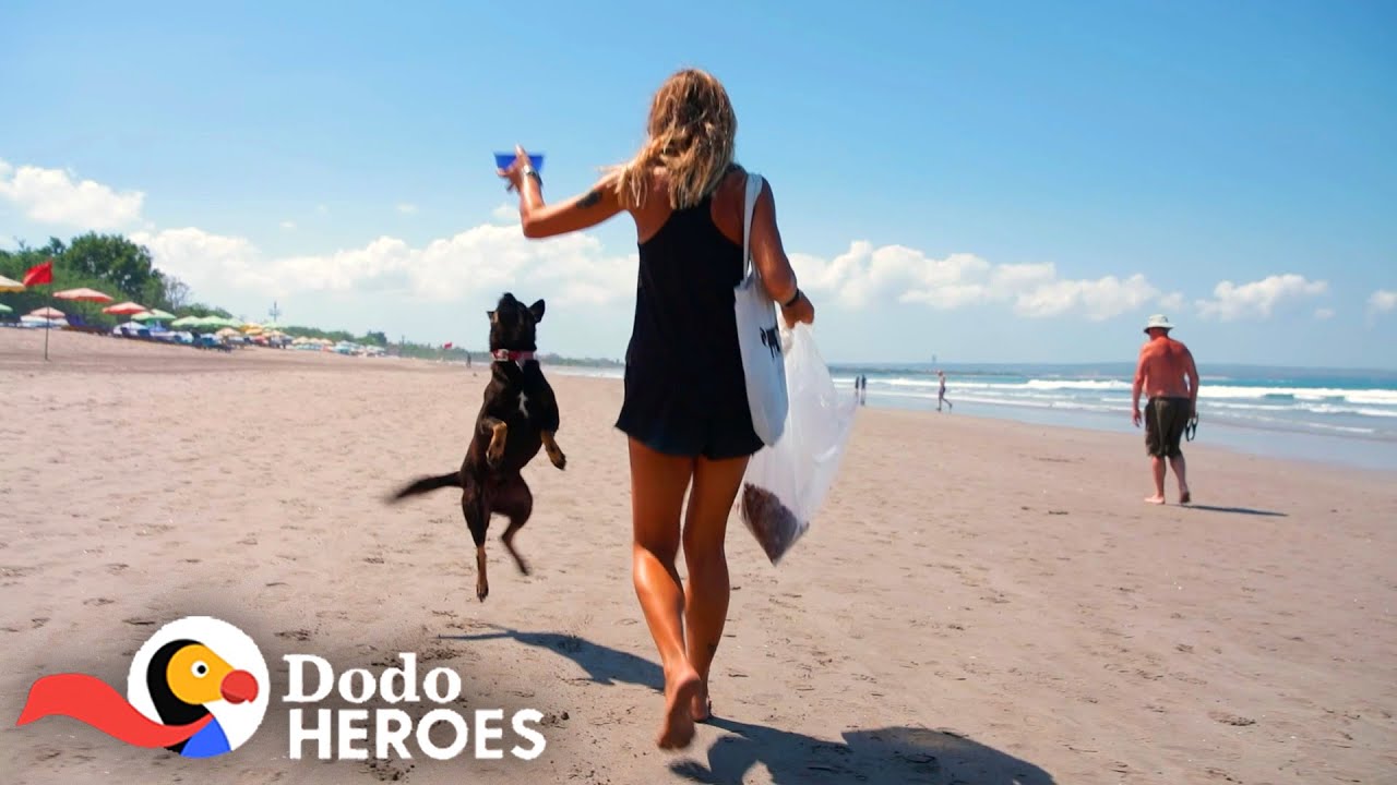 ⁣Woman Devotes Her Life To The Stray Dogs Of Bali | The Dodo Heroes