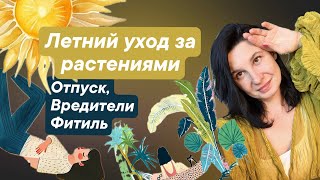 Летний уход от-за растениями: фитильный полив, вредители, отпуск