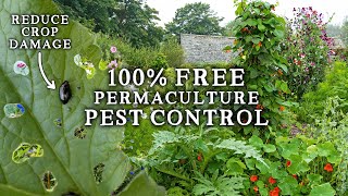 The 100% Natural FREE Pest Control Method for Your Vegetable Garden