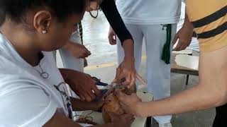 Ofina Contramestre Ratinho Professor Taz2