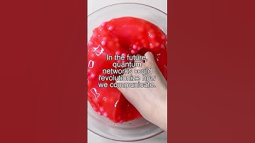 The Quantum Networks: Entangled Webs