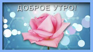 ✅Доброе утро ✅Чудесного дня✅