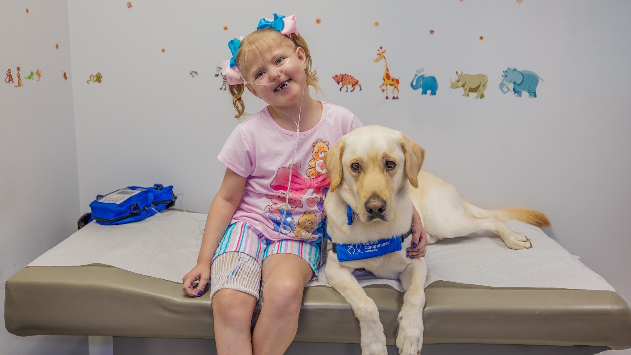 Meet Boris the Facility Dog