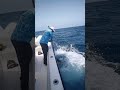 【ショアジギング】まさかの大物連発!?海釣りでルアー投げたら奇跡起きたwww