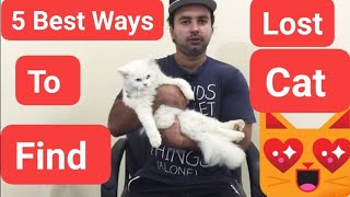5 best ways to find lost cat..99% effective idea. Urdu | Hindi