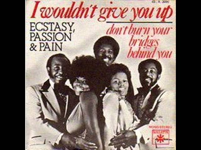 Ecstasy, Passion & Pain - I Wouldn't Give You Up