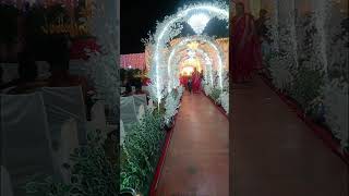 #newmusic #dancehall #music #cutebaby #bollywood #weddingmusic #love #lifeisbutadream #weddingplayli