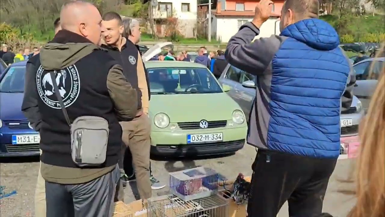 IZLOŽBA SITNIH ŽIVOTINJA U TURBETU