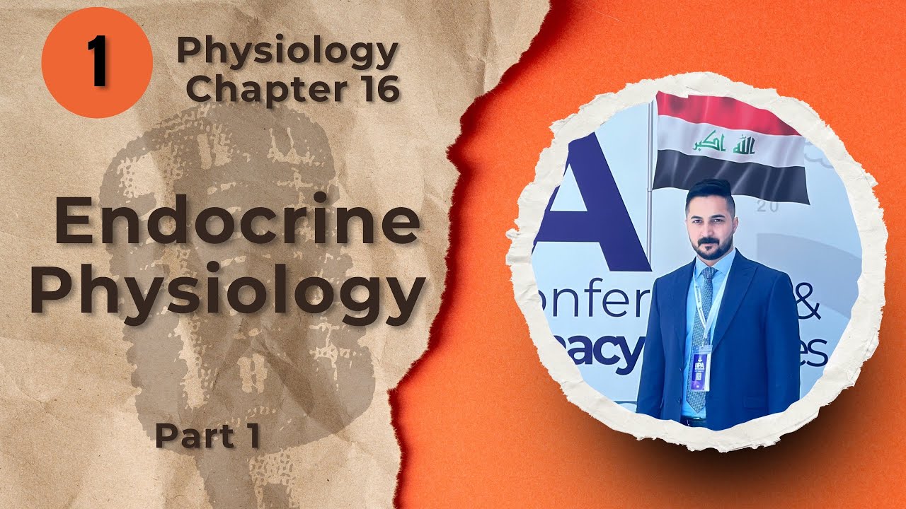 1. Endocrine Physiology Chapter 16 part 1 (فسلجه وزاري)