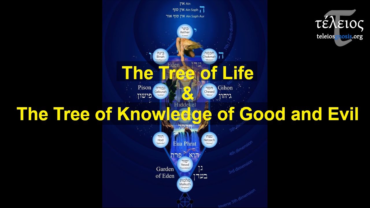 The Tree of Life & The Tree of Knowledge of Good and Evil - YouTube