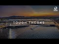 Rynan aquaculture webisode 4 tough thorns