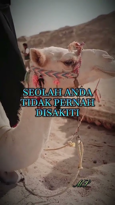 wow, ini adalah video inspirasional yang tidak boleh dilewatkan https://sck.io/p/orOwS7dk