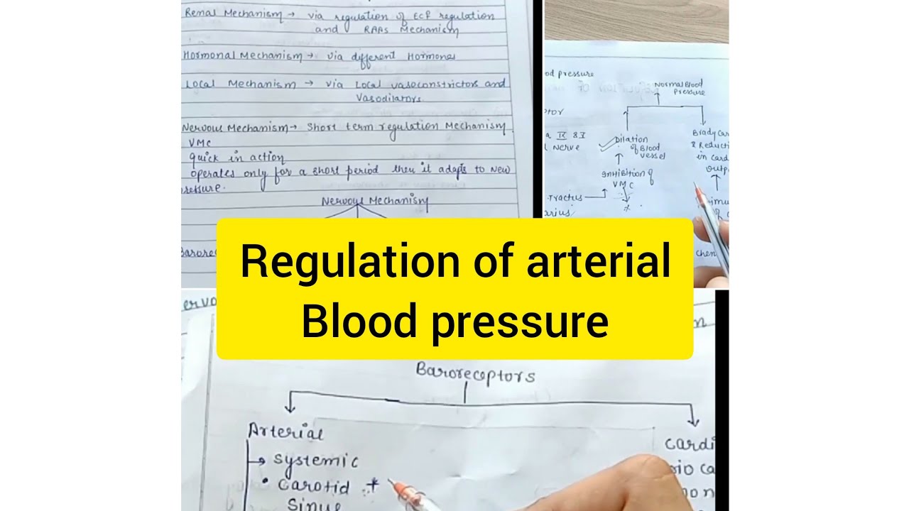 Regulation of arterial blood pressure physiology by Anirudh