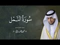 حصريا سورة النمل بصوت القارئ محمد الغزالي Mohammad ALGhazali 