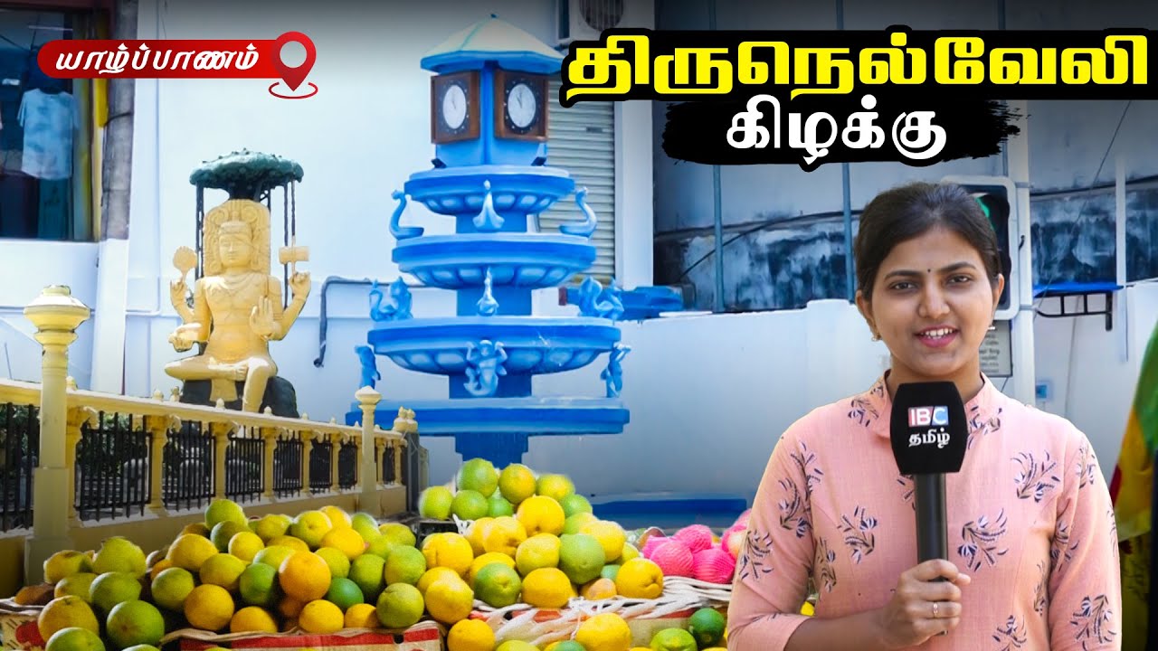 திருநெல்வேலி கிழக்கு | வணக்கம் தாய்நாடு | Thirunelvely East