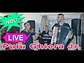 Puiu Ghiera Jr - Instrumental live - Botez Gabor Melissa