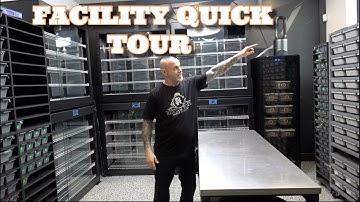 Quick Tour Of The Changes At Mutation Creation Facility!