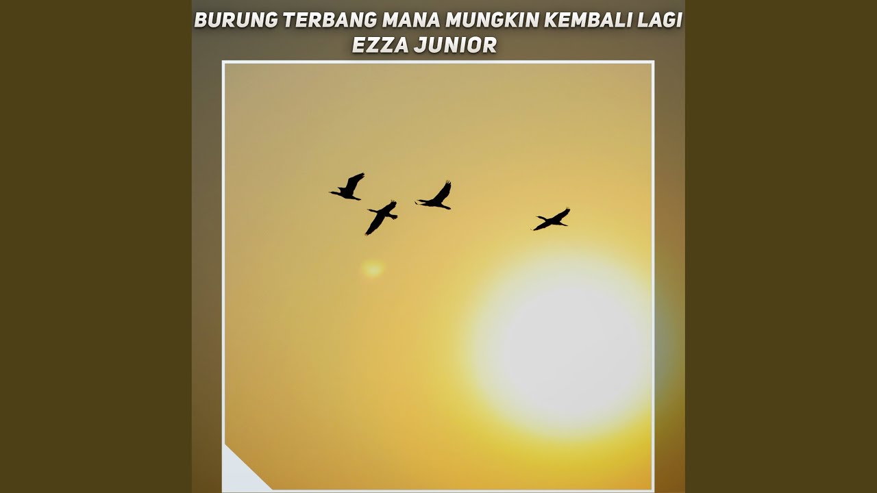 burung terbang mana mungkin kembali lagi