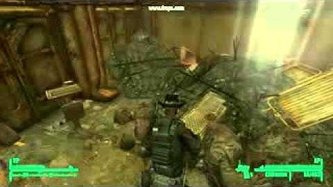 FalloutNV headturn bug